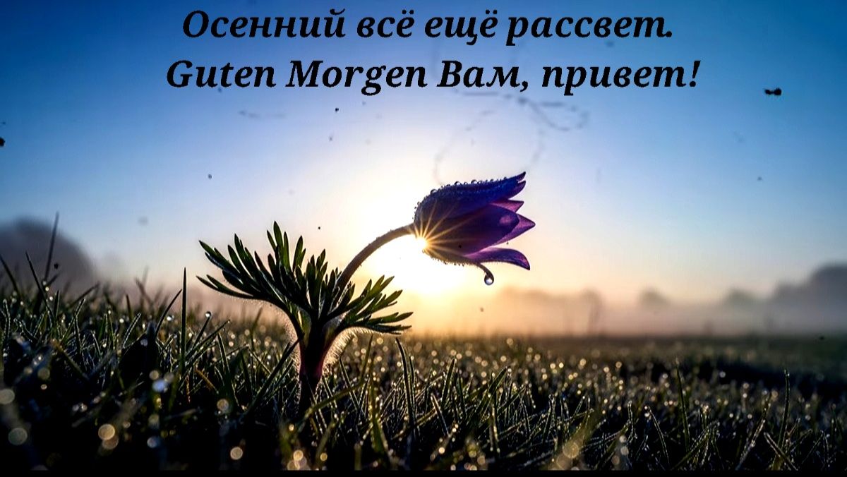 Осенний всё ещё рассвет. Guten Morgen Вам, привет!