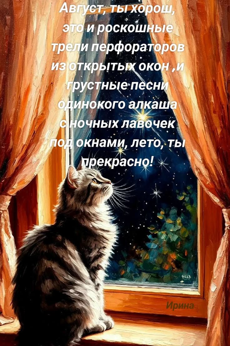 Август, ты хорош, это и роскошные трели перфораторов из открытых окон, и грустные песни одинокого алкаша с ночных лавочек под окнами, лето, ты прекрасно!