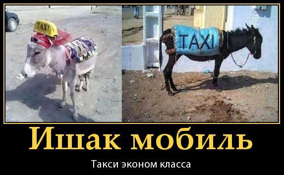 Ишак мобиль. Такси эконом класса. TAXI! TAXI.
