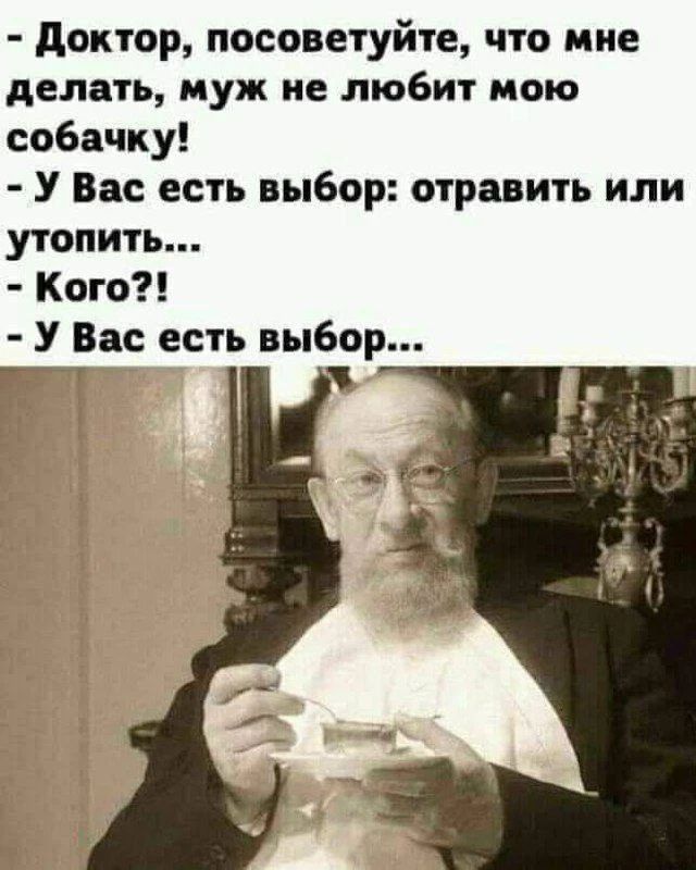 Доктор, посоветуйте, что мне делать, муж не любит мою собачку! - У Вас есть выбор: отравить или утопить... - Кого?! - У Вас есть выбор...
