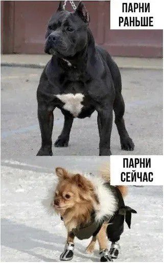 ПАРНИ РАНЬШЕ ПАРНИ СЕЙЧАС