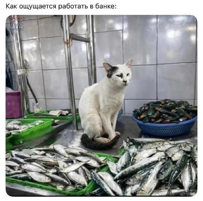 Как ощущается работать в банке: