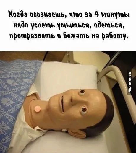 Когда осознаешь, что за 4 минуты надо успеть умыться, одеться, протрезветь и бежать на работу.