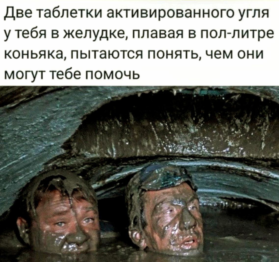 Две таблетки активированного угля у тебя в желудке, плавая в пол-литре коньяка, пытаются понять, чем они могут тебе помочь