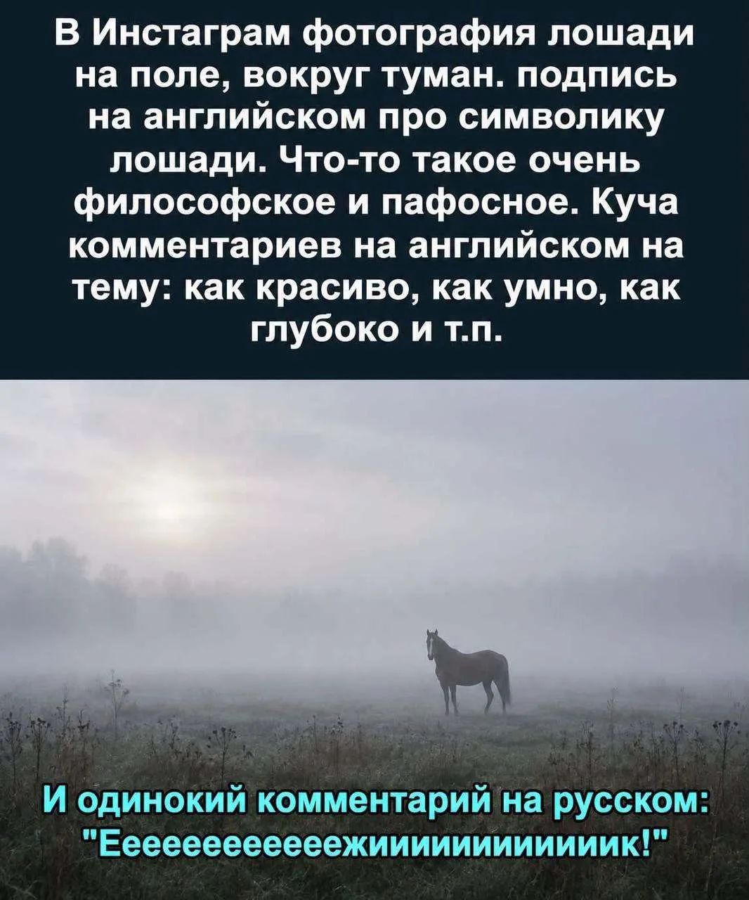 В Инстаграм фотография лошади на поле, вокруг туман. подпись на английском про символику лошади. Что-то такое очень философское и пафосное. Куча комментариев на английском на тему: как красиво, как умно, как глубоко и т.п. И одинокий комментарий на русском: 