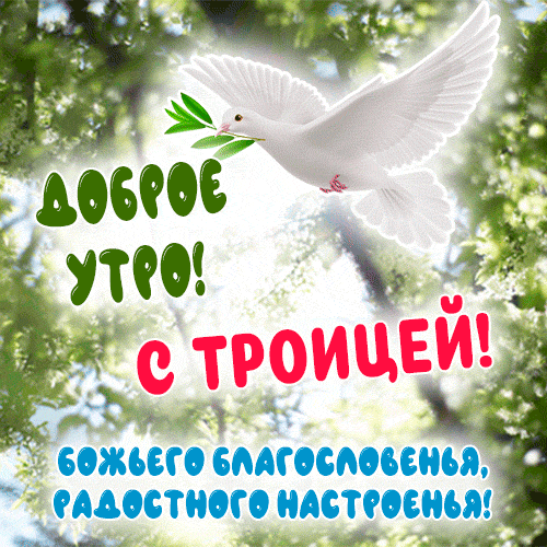 ДОБРОЕ УТРО! С ТРОИЦЕЙ! БОЖЬЕГО БЛАГОСЛОВЕНЬЯ, РАДОСТНОГО НАСТРОЕНЬЯ!