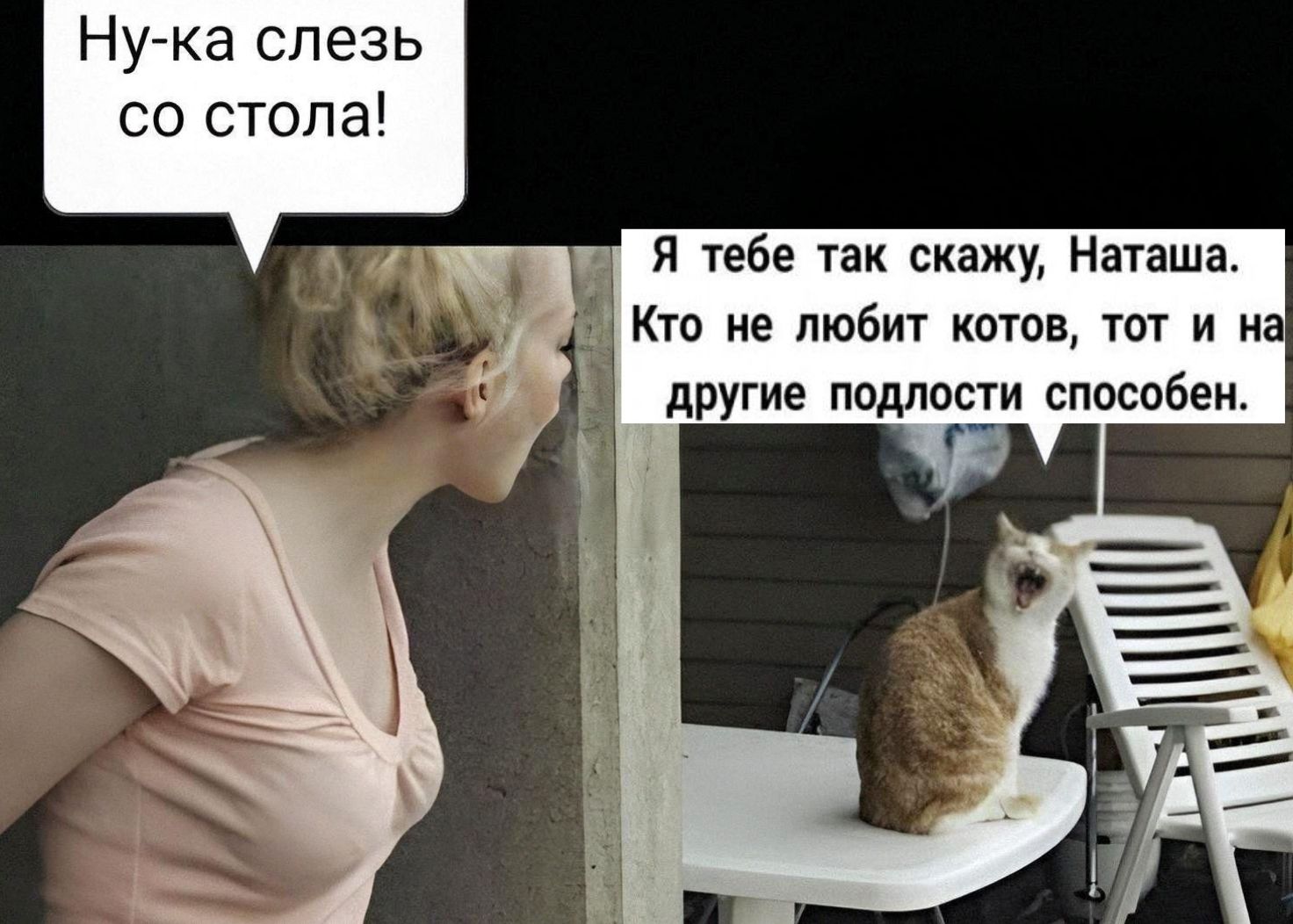 Ну-ка слезь со стола! Я тебе так скажу, Наташа. Кто не любит котов, тот и на другие подлости способен.