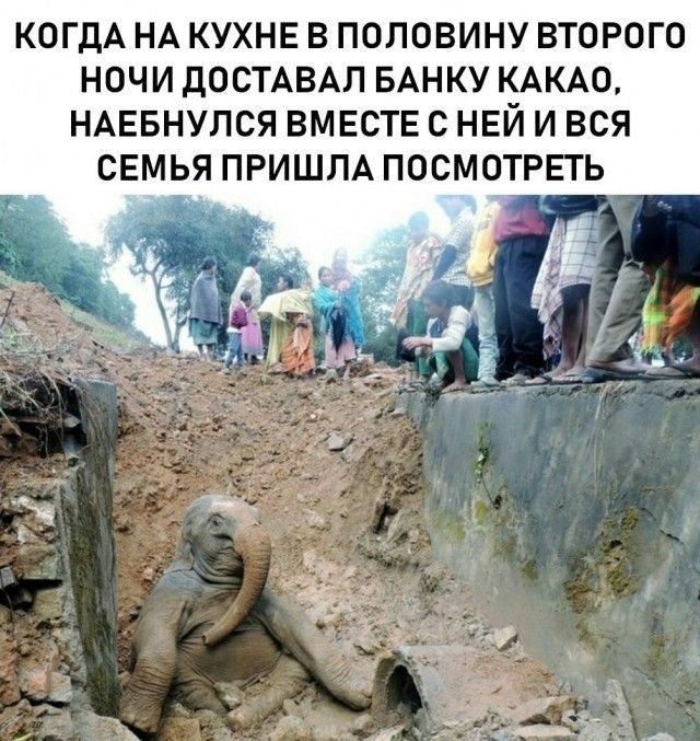 КОГДА НА КУХНЕ В ПОЛОВИНУ ВТОРОГО НОЧИ ДОСТАВАЛ БАНКУ КАКАО, НАЕБНУЛСЯ ВМЕСТЕ С НЕЙ И ВСЯ СЕМЬЯ ПРИШЛА ПОСМОТРЕТЬ