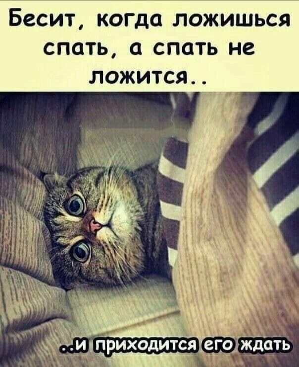 Бесит, когда ложишься спать, а спать не ложится.. ..И приходится его ждать