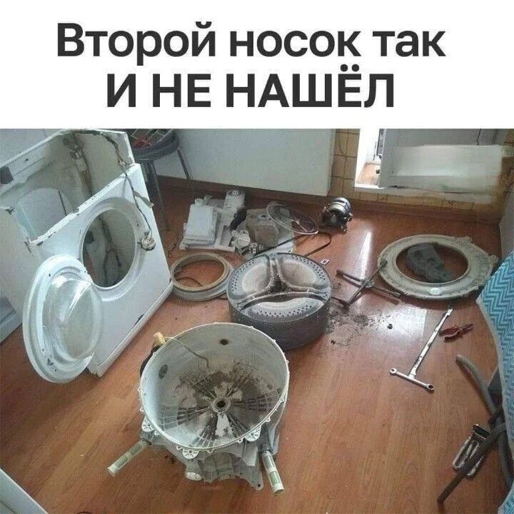 Второй носок так И НЕ НАШЁЛ