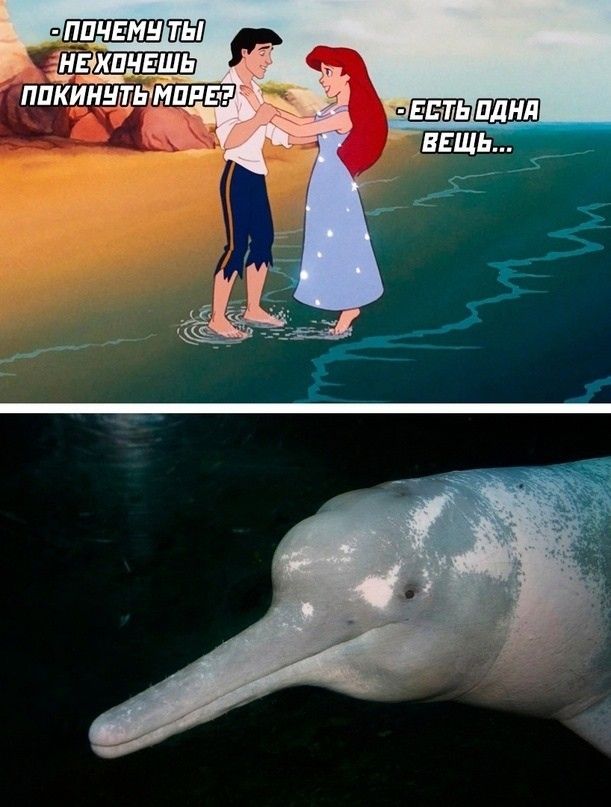 ПОЧЕМУ ТЫ НЕ ХОЧЕШЬ ПОКИНУТЬ МОРЕ? ЕСТЬ ОДНА ВЕЩЬ...