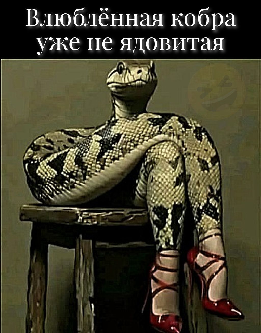 Влюблённая кобра уже не ядовитая