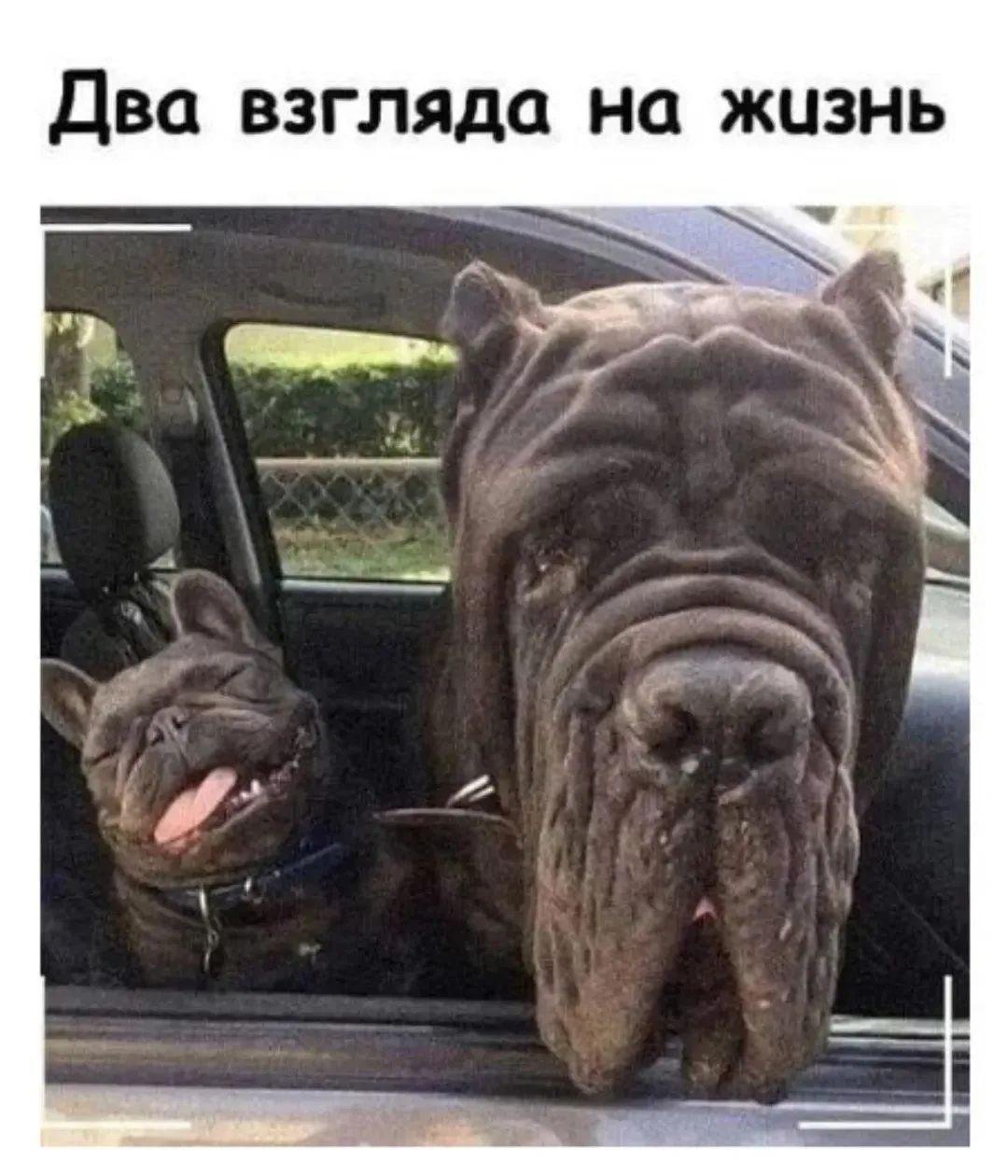 Два взгляда на жизнь