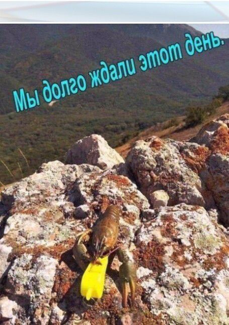 Мы долго ждали этот день.
