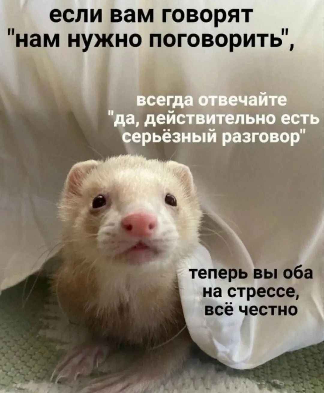 если вам говорят 
