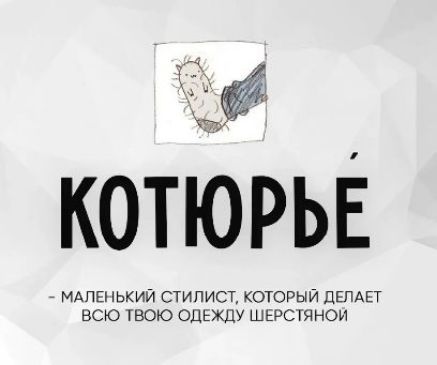 КОТЬЮРЬЕ - МАЛЕНЬКИЙ СТИЛИСТ, КОТОРЫЙ ДЕЛАЕТ ВСЮ ТВОЮ ОДЕЖДУ ШЕРСТЯНОЙ