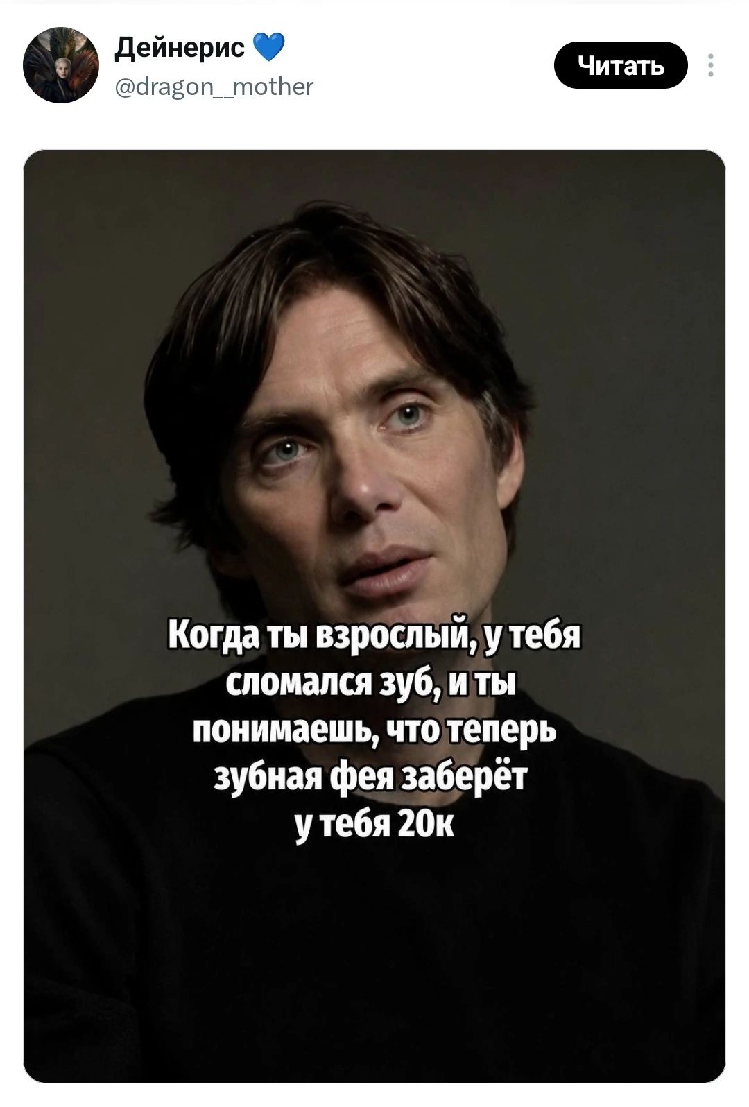 Дейнерис @dragon_mother Читать Когда ты взрослый, у тебя сломался зуб, и ты понимаешь, что теперь зубная фея заберёт у тебя 20к