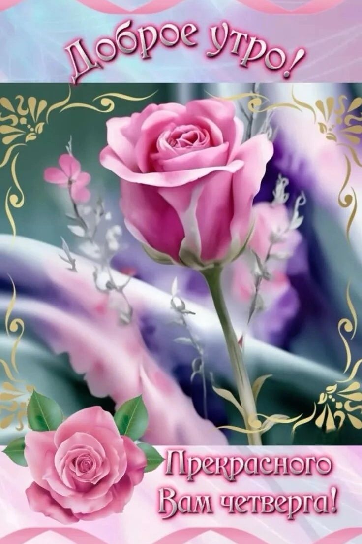 Доброе утро! Прекрасного Вам четверга!