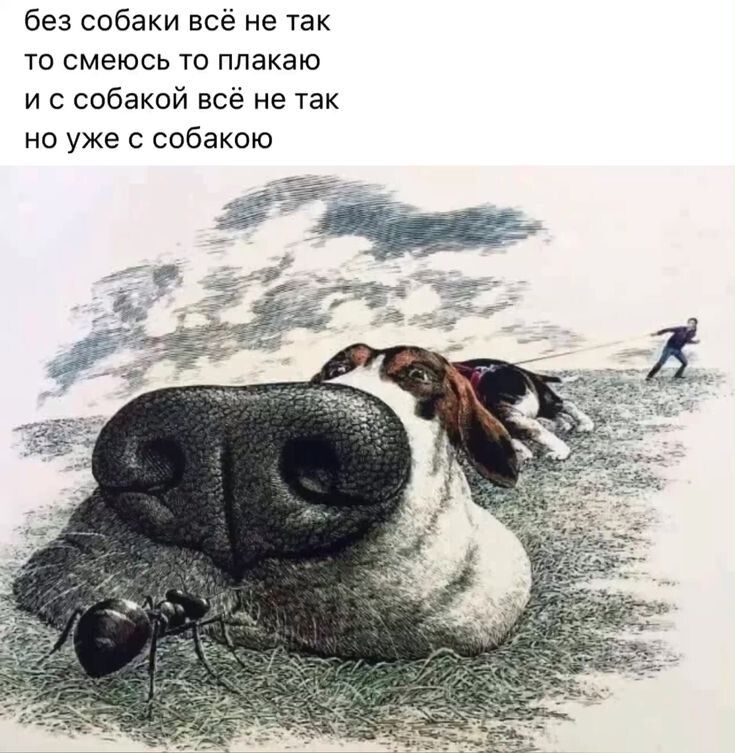 без собаки всё не так то смеюсь то плакаю и с собакой всё не так но уже с собакою