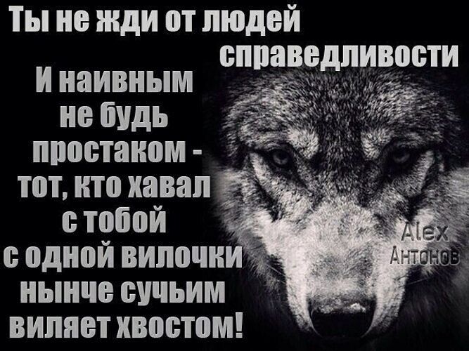 Ты не жди от людей справедливости И наивным не будь простаком - тот, кто хавал с тобой с одной вилочки нынче сучьим виляет хвостом! Alex Антонов