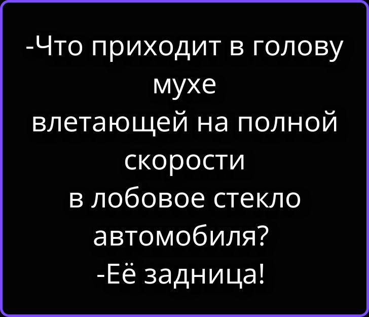 -Что приходит в голову мухе влетающей на полной скорости в лобовое стекло автомобиля? -Её задница!