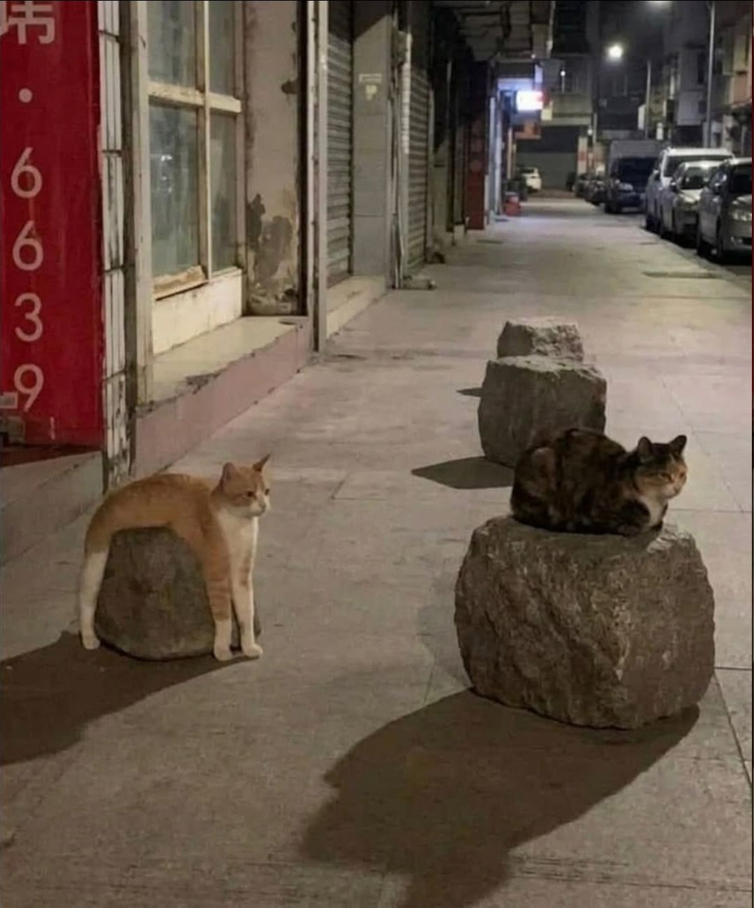 6639