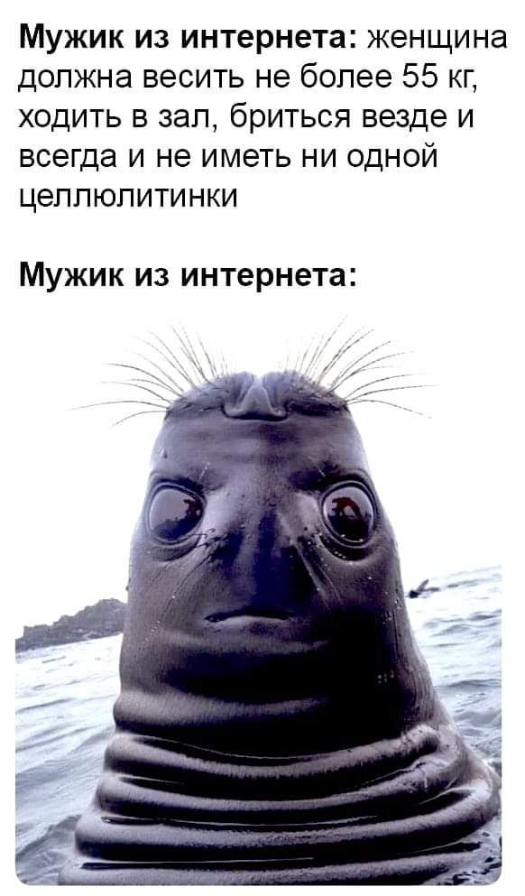 Мужик из интернета: женщина должна весить не более 55 кг, ходить в зал, бриться везде и всегда и не иметь ни одной целлюлитинки. Мужик из интернета: