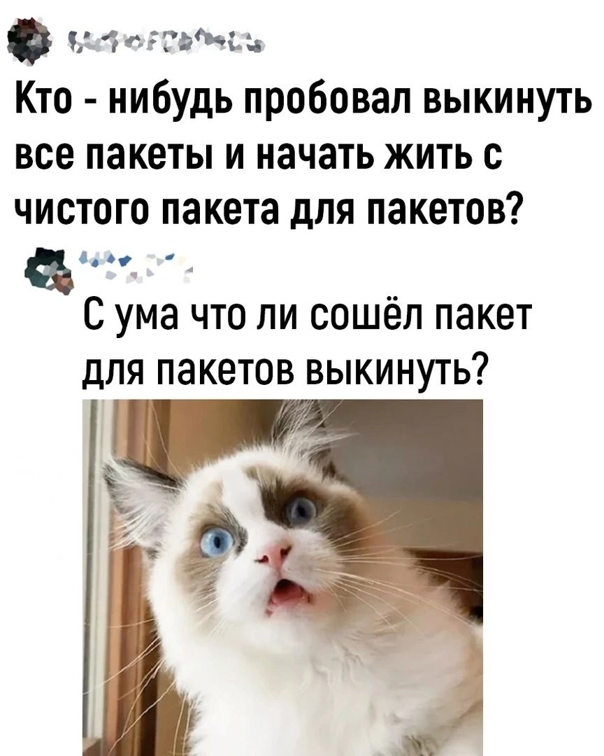 Кто-нибудь пробовал выкинуть все пакеты и начать жить с чистого пакета для пакетов? С ума что ли сошёл пакет для пакетов выкинуть?