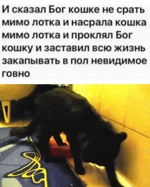 И сказал Бог кошке не срать мимо лотка и насрала кошка мимо лотка и проклял Бог кошку и заставил всю жизнь закапывать в пол невидимое говно