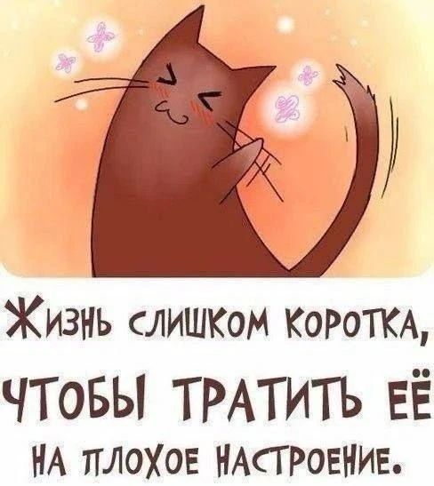 Жизнь слишком коротка, чтобы тратить её на плохое настроение.