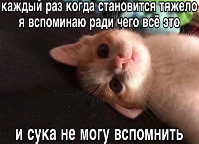 каждый раз когда становится тяжело я вспоминаю ради чего всё это и сука не могу вспомнить