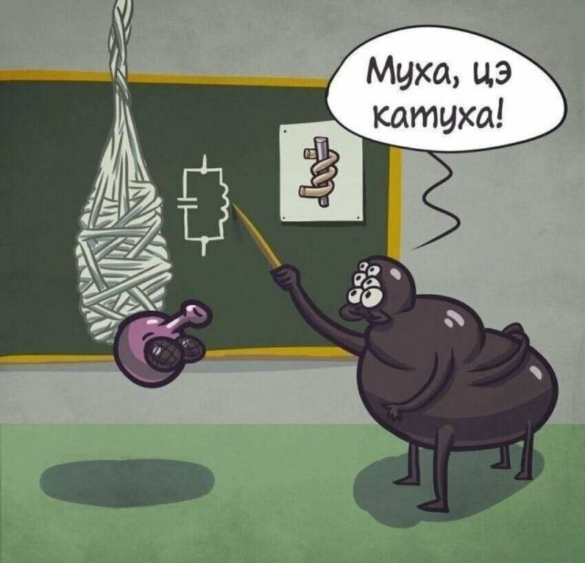 Муха, цэ катуха!
