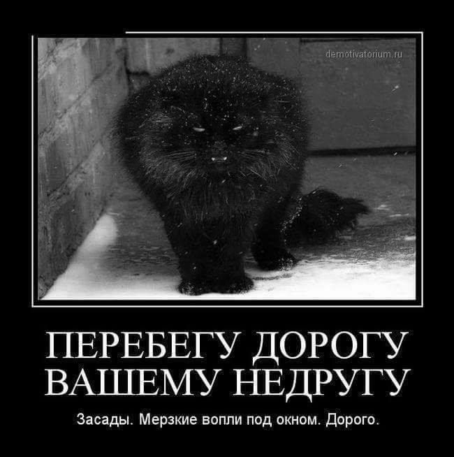 demotivatorium.ru ПЕРЕБЕГУ ДОРОГУ ВАШЕМУ НЕДРУГУ Засады. Мерзкие вопли под окном. Дорого.