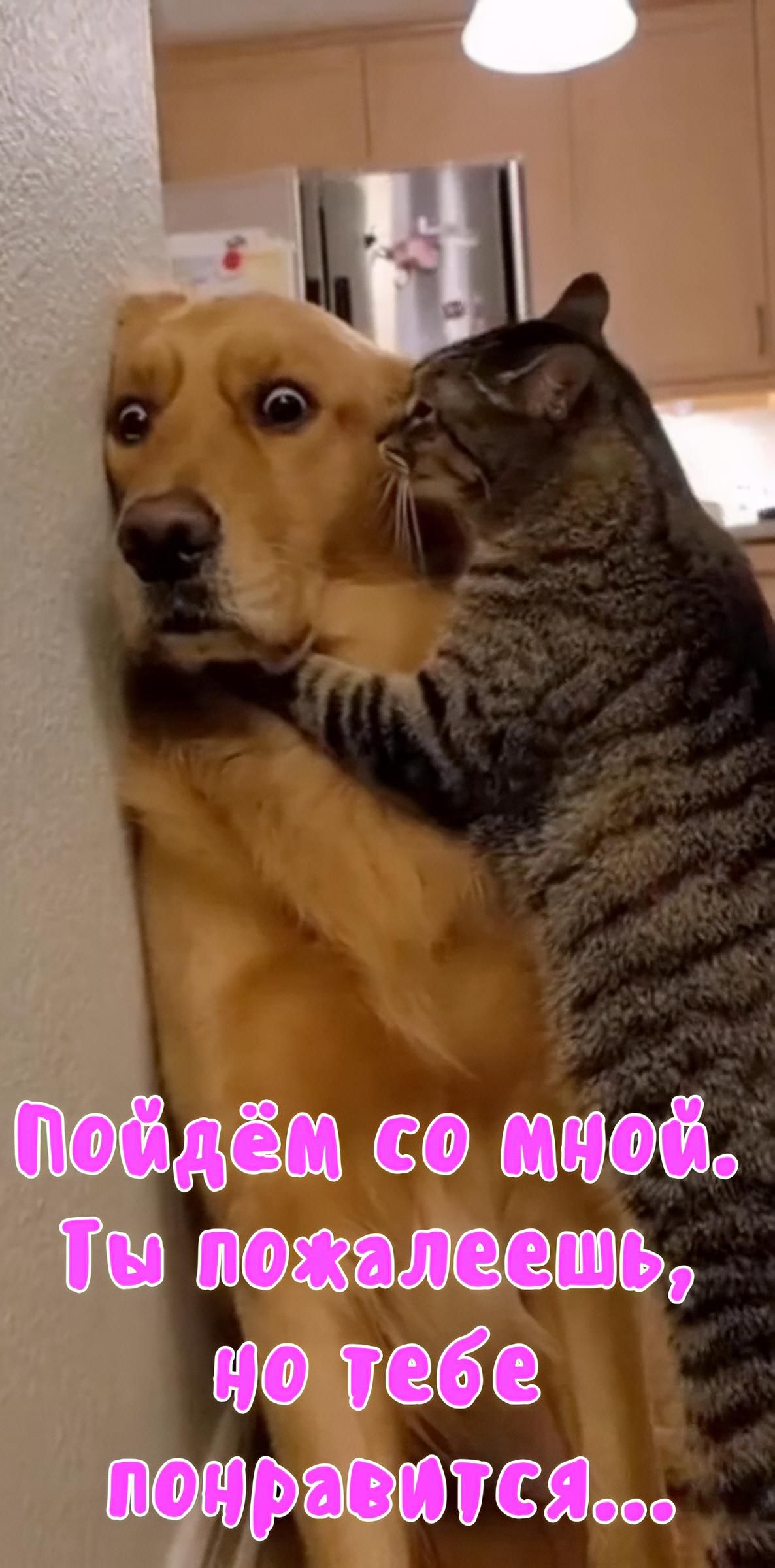 Пойдём со мной. Ты пожалеешь, но тебе понравится...