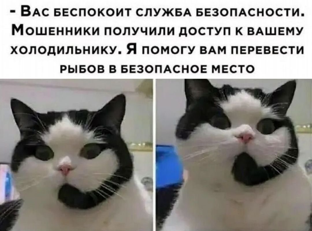 Вас беспокоит служба безопасности. Мошенники получили доступ к вашему холодильнику. Я помогу вам перевести рыбов в безопасное место