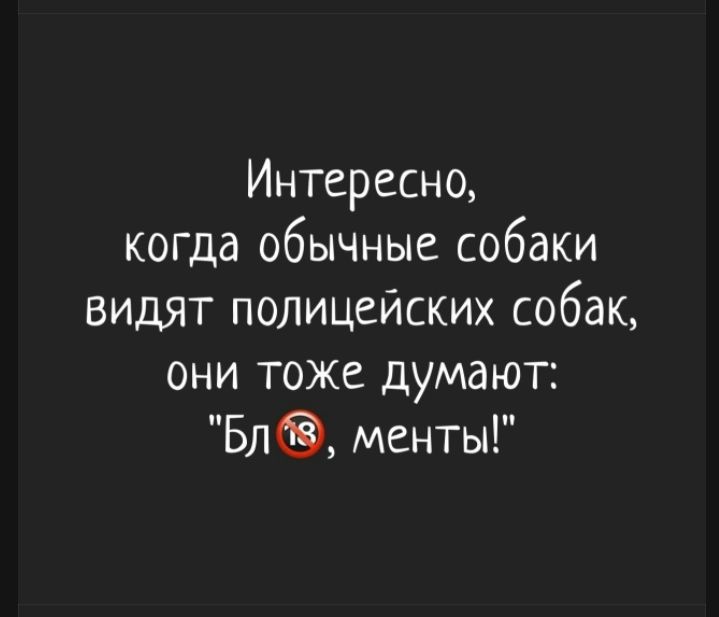 Интересно, когда обычные собаки видят полицейских собак, они тоже думают: 