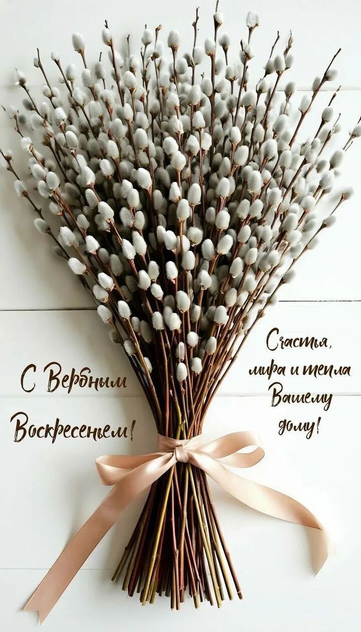 С Вербным Воскресеньем! Счастья, мира и тепла Вашему дому!