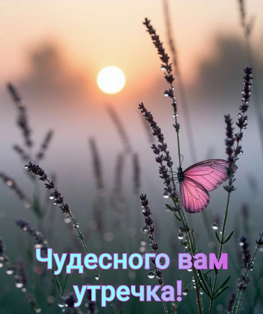 Чудесного вам утречка!