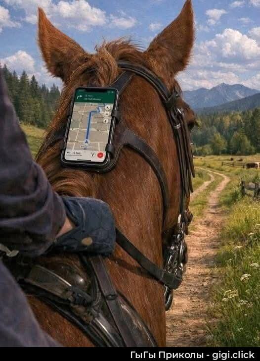 Гыгы Приколы - gigi.click