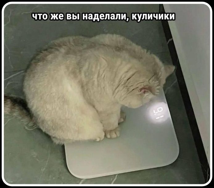 что же вы наделали, куличики