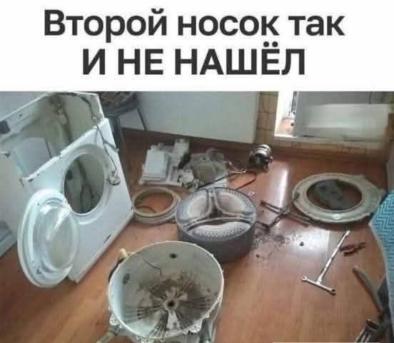 Второй носок так и не нашёл