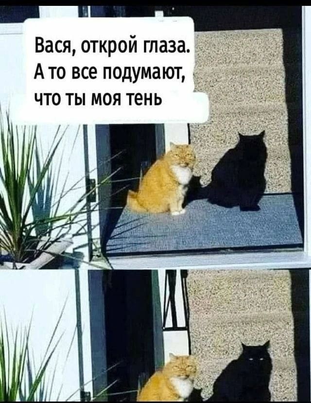 Вася, открой глаза. А то все подумают, что ты моя тень