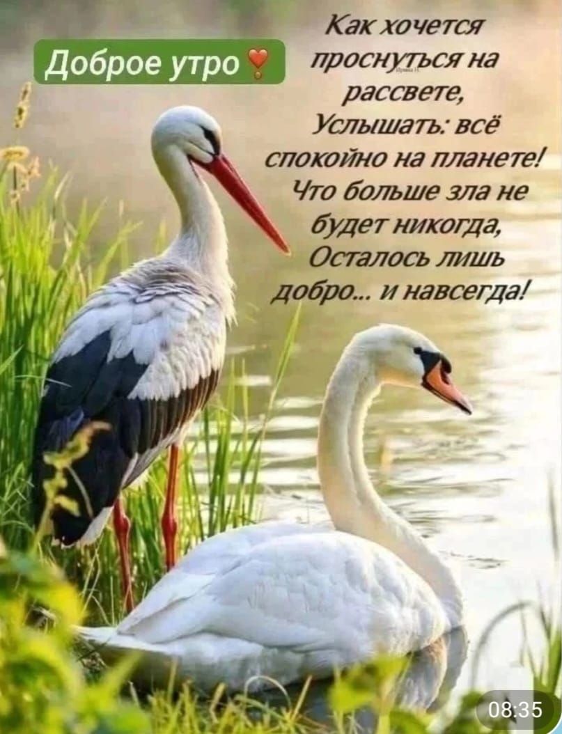 Доброе утро ☕ Как хочется проснуться на рассвете, Услышать: всё спокойно на планете! Что больше зла не будет никогда, Осталось лишь добро... и навсегда!