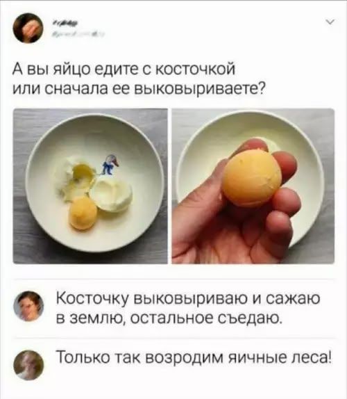 А вы яйцо едите с косточкой или сначала ее выковыриваете? Косточку выковыриваю и сажаю в землю, остальное съедаю. Только так возродим яичные леса!