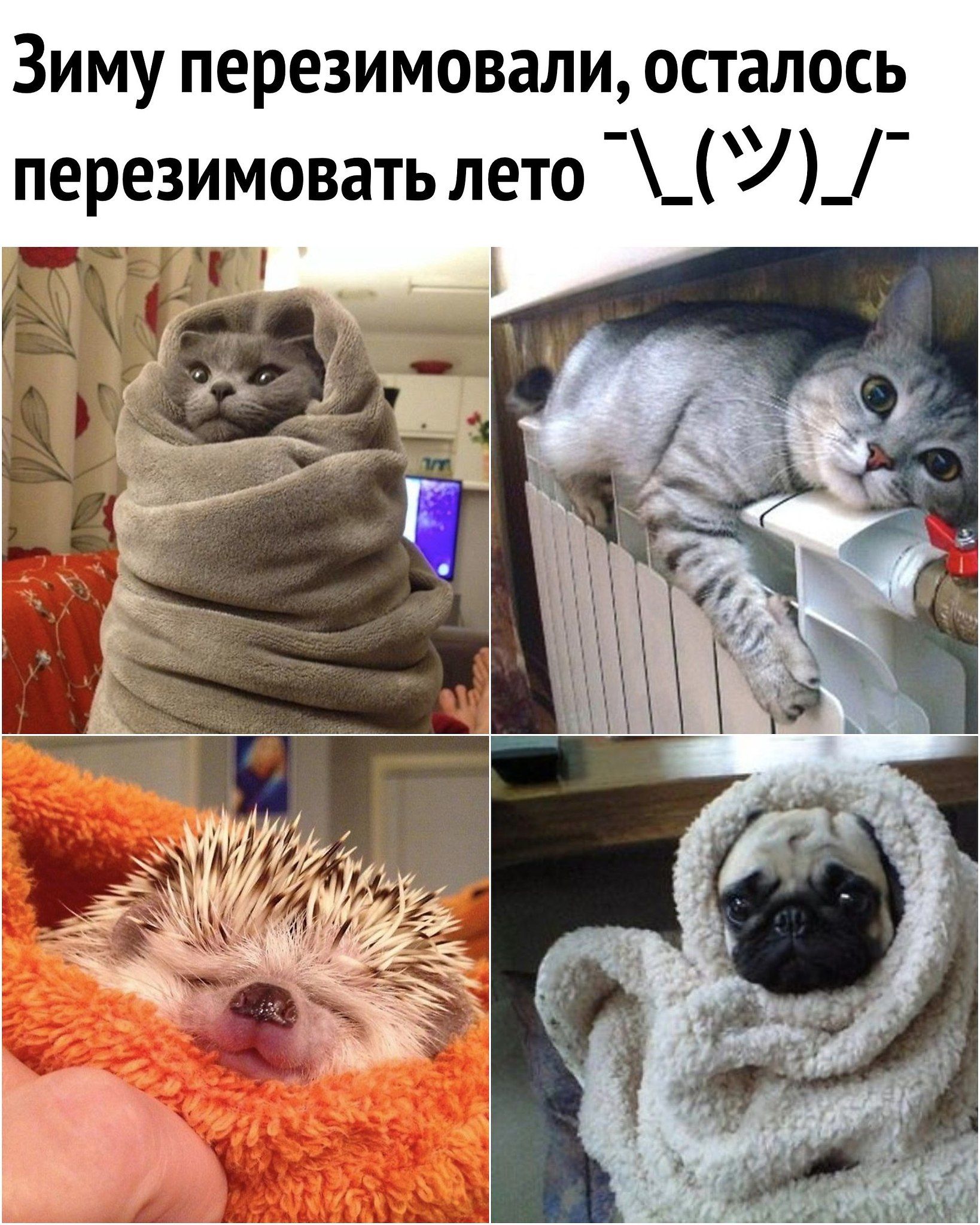 Зиму перезимовали, осталось перезимовать лето ¯\_(ツ)_/¯
