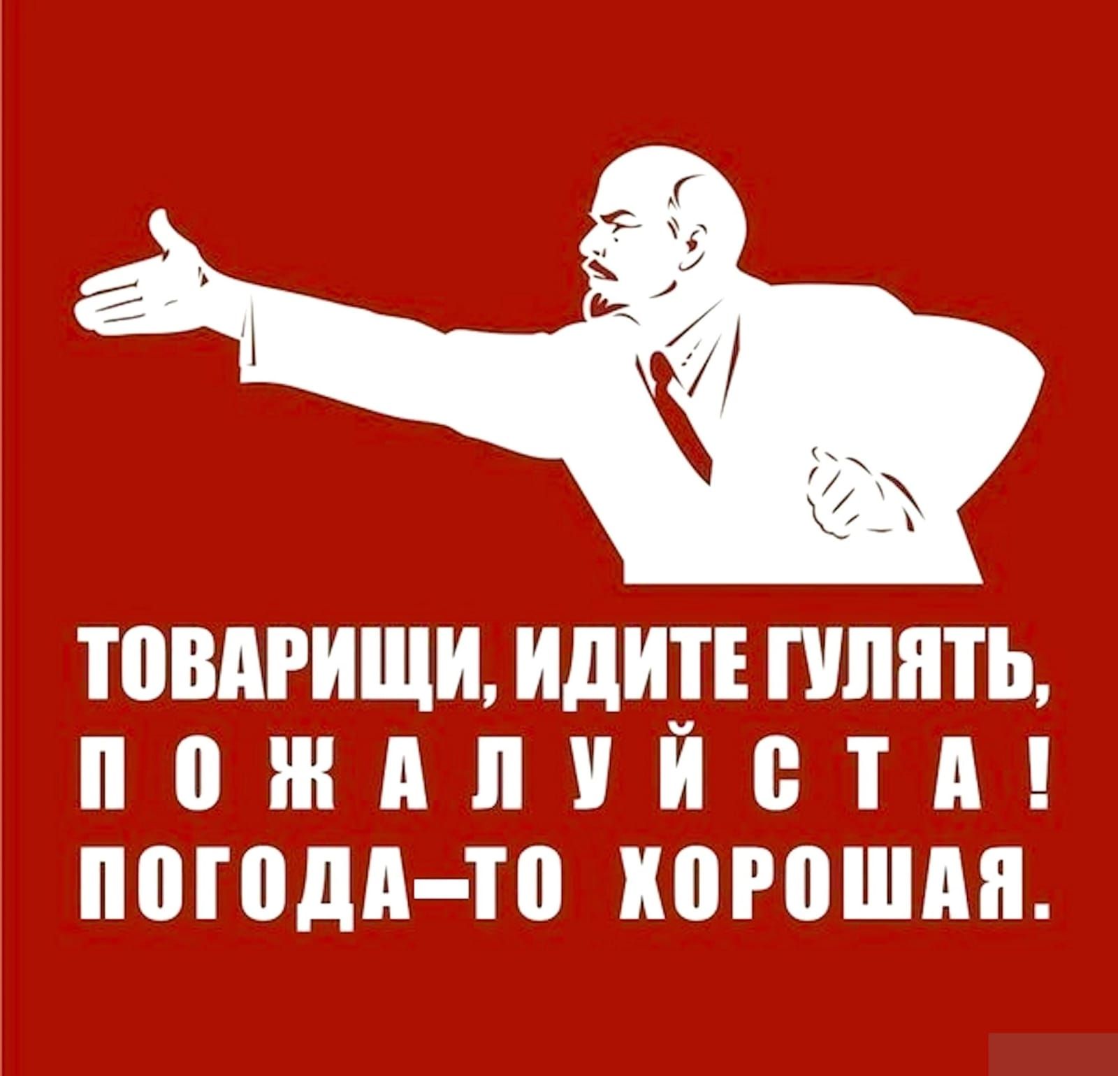 ТОВАРИЩИ, ИДИТЕ ГУЛЯТЬ, ПОЖАЛУЙСТА! ПОГОДА-ТО ХОРОШАЯ.