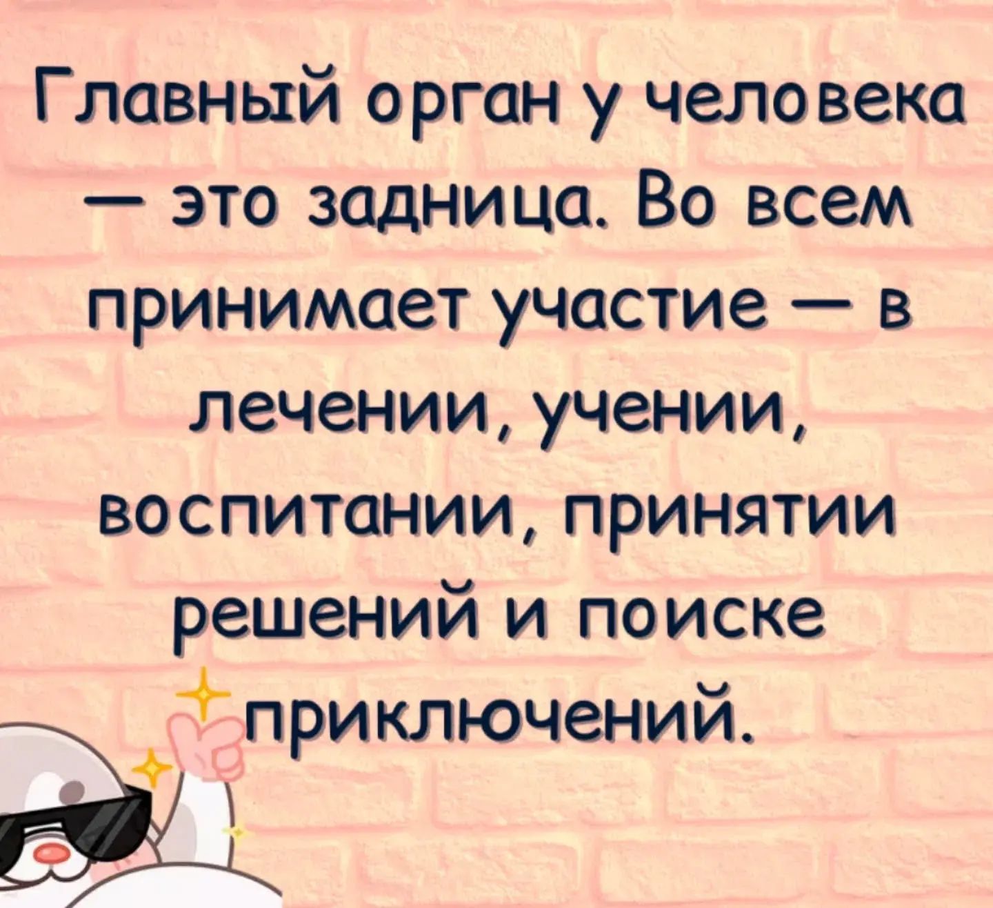 Главный орган у человека — это задница. Во всем принимает участие — в лечении, учении, воспитании, принятии решений и поиске приключений.