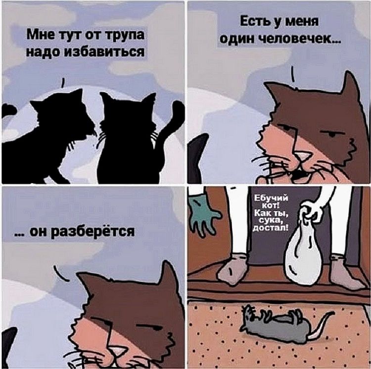 Мне тут от трупа надо избавиться. Есть у меня один человечек... он разберётся. Ебучий кот! Как ты, сука, достал!