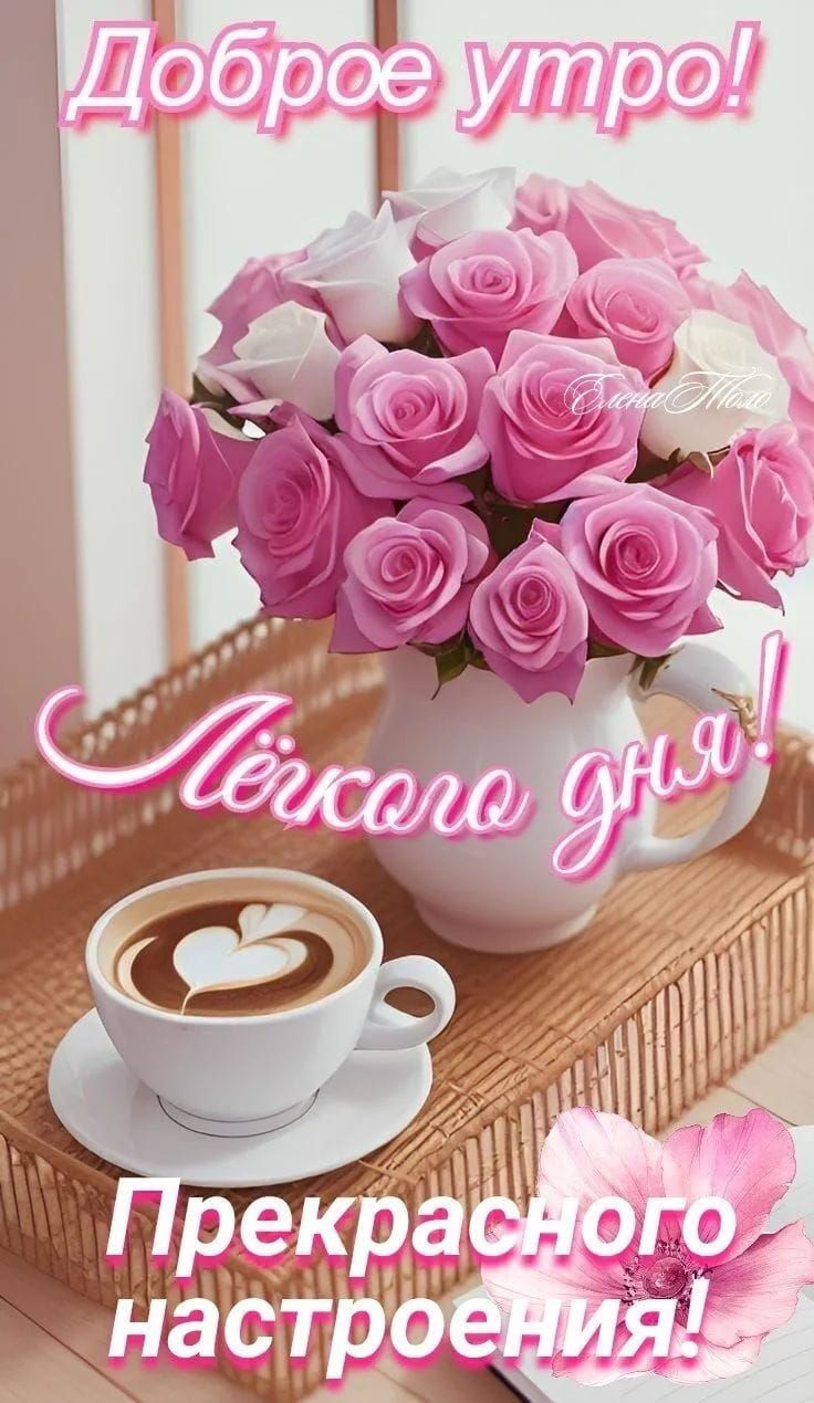 Доброе утро! Легкого дня! Прекрасного настроения!