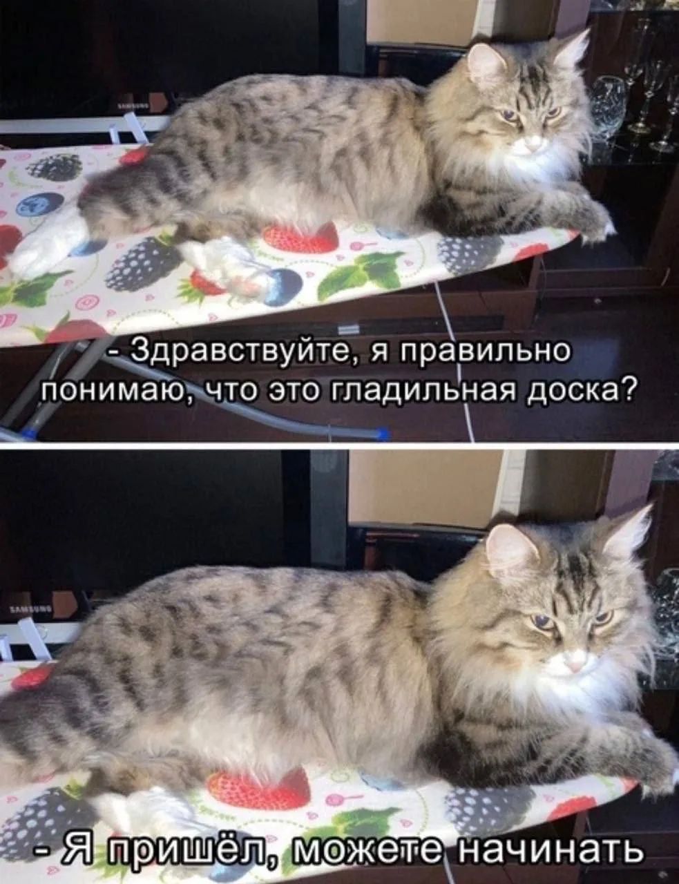 Здравствуйте, я правильно понимаю, что это гладильная доска?
Я пришёл, можете начинать
